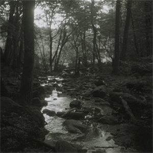Cascade de la Pisserotte, Allier (Rolleicord - Argentique) - 2015